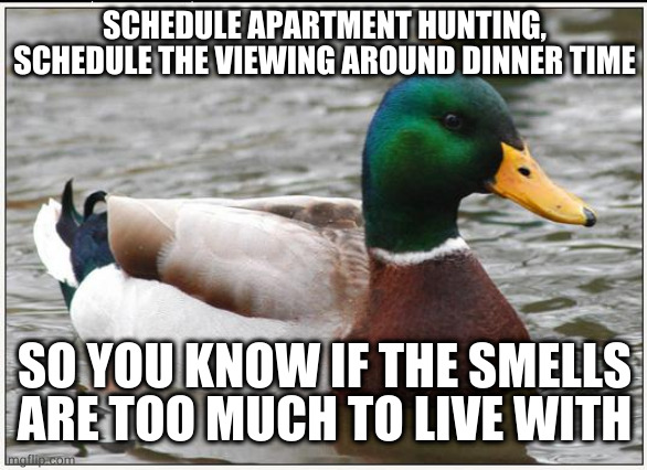 Actual Advice Mallard | SCHEDULE APARTMENT HUNTING, SCHEDULE THE VIEWING AROUND DINNER TIME; SO YOU KNOW IF THE SMELLS ARE TOO MUCH TO LIVE WITH | image tagged in memes,actual advice mallard,AdviceAnimals | made w/ Imgflip meme maker