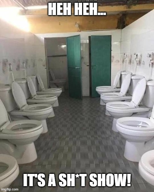Sh*t Show | HEH HEH... IT'S A SH*T SHOW! | image tagged in funny,wtf,poop,pooping,toilet,toilet humor | made w/ Imgflip meme maker