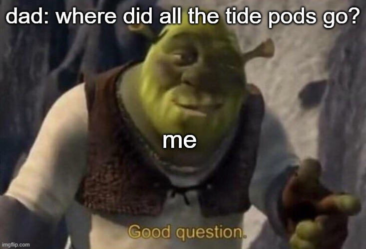 tides: unknown | dad: where did all the tide pods go? me | image tagged in shrek good question | made w/ Imgflip meme maker