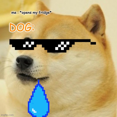 Doge Meme | me : *opens my fridge*; DOG: | image tagged in memes,doge | made w/ Imgflip meme maker
