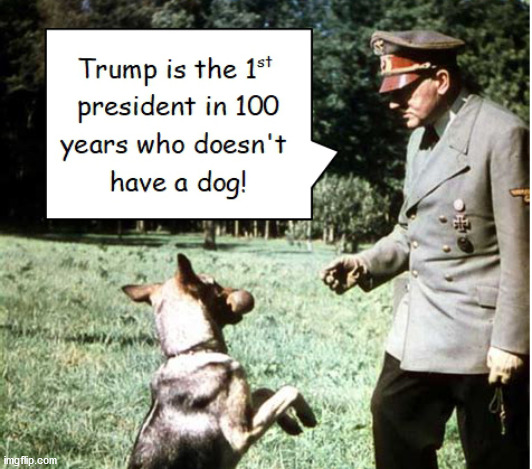 Trump is the 1st president in 100 years who doesn't have a dog! | image tagged in trump,dog,hitler | made w/ Imgflip meme maker