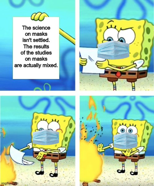 Pro-maskers don't listen to facts | The science on masks isn't settled. The results of the studies on masks are actually mixed. | image tagged in spongebob burning paper,covid-19,masks,face mask,hysteria,truth | made w/ Imgflip meme maker