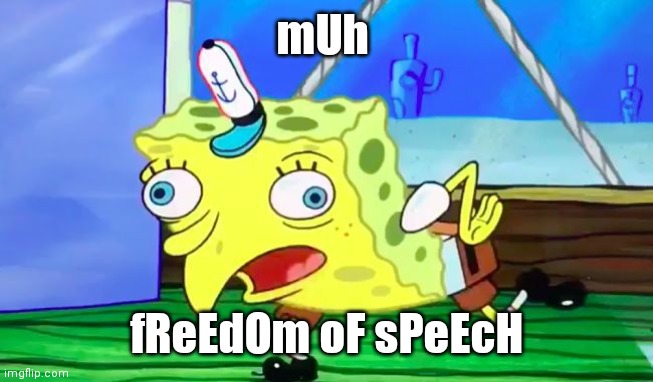 Retarded spongebob | mUh; fReEdOm oF sPeEcH | image tagged in retarded spongebob | made w/ Imgflip meme maker