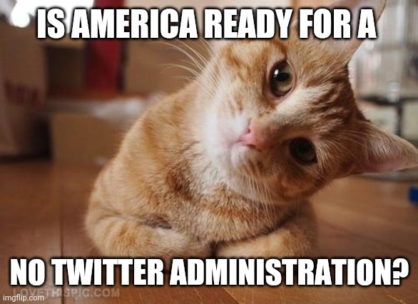 Curious Question Cat | IS AMERICA READY FOR A NO TWITTER ADMINISTRATION? | image tagged in curious question cat | made w/ Imgflip meme maker