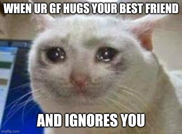 Sad | WHEN UR GF HUGS YOUR BEST FRIEND; AND IGNORES YOU | image tagged in sad cat | made w/ Imgflip meme maker