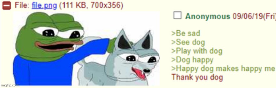 Anon has a dog | image tagged in greentext,dog | made w/ Imgflip meme maker