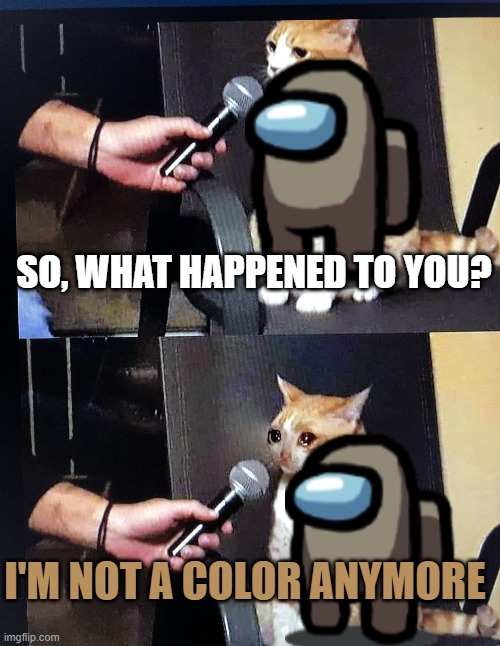 whatever happened to Tan? | SO, WHAT HAPPENED TO YOU? I'M NOT A COLOR ANYMORE | image tagged in cat interview crying,among us | made w/ Imgflip meme maker