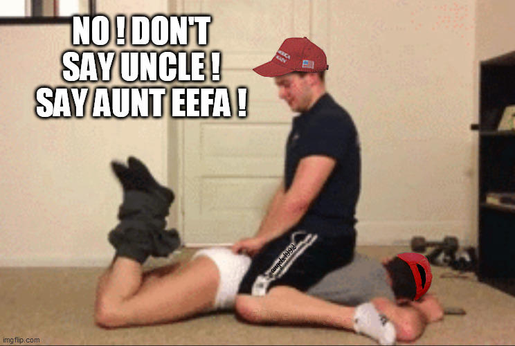 proud boys | NO ! DON'T SAY UNCLE !
SAY AUNT EEFA ! | image tagged in proud boys,antifa,trump supporters,lgbtq,aunt,uncle | made w/ Imgflip meme maker