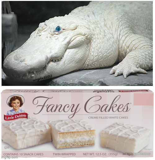 image tagged in albino,crocodile,cakes,little debbie,alligator,snacks | made w/ Imgflip meme maker