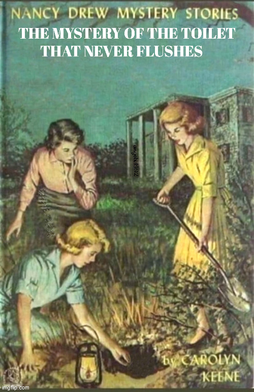 image tagged in nancy drew,toilet,back yard,stories,mystery,books | made w/ Imgflip meme maker