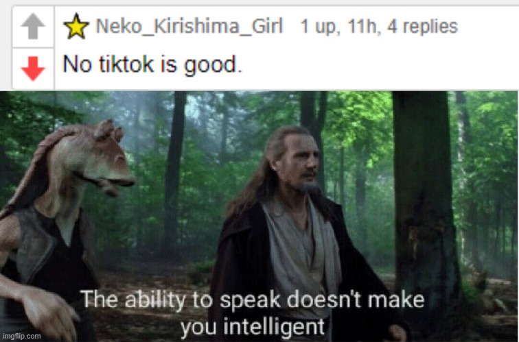 TikTok should've never existed | image tagged in star wars prequel qui-gon ability to speak | made w/ Imgflip meme maker