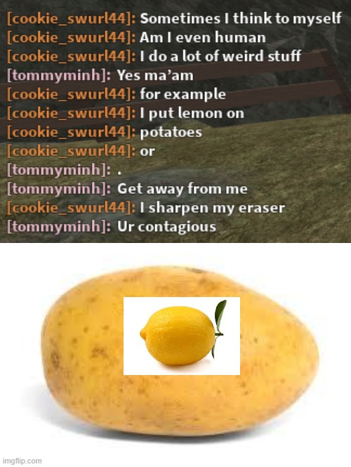 When life gives you lemons you put them on potatoes | image tagged in potato | made w/ Imgflip meme maker