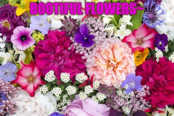 BOOTIFUL FLOWERS~ | image tagged in cool,bootiful | made w/ Imgflip meme maker