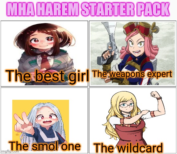 Mha harem starter pack | MHA HAREM STARTER PACK; The best girl; The weapons expert; The smol one; The wildcard | image tagged in memes,blank comic panel 2x2,anime girl,starter pack,mha | made w/ Imgflip meme maker