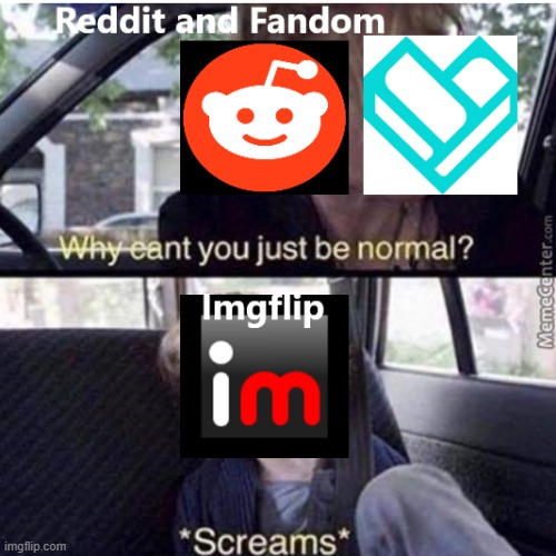 imgflip | image tagged in imgflip,memes,funny memes,why can't you just be normal,reddit,fandom | made w/ Imgflip meme maker