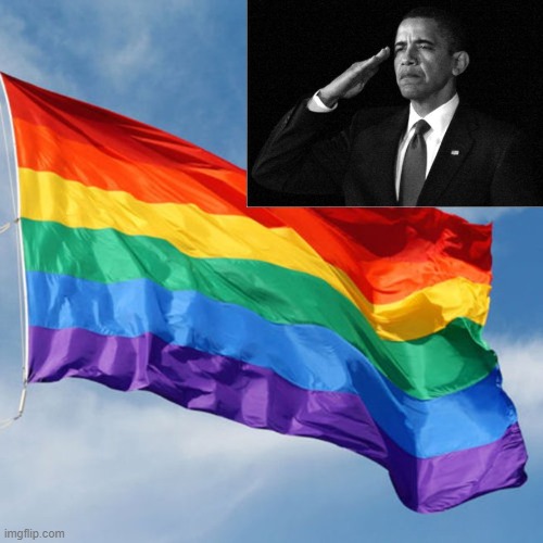 homer gay flag meme