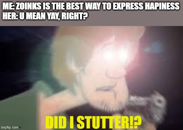DID I EVEN TRY?? | ME: ZOINKS IS THE BEST WAY TO EXPRESS HAPINESS
HER: U MEAN YAY, RIGHT? DID I STUTTER!? | image tagged in shaggy | made w/ Imgflip meme maker