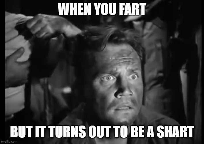 OH NO! | WHEN YOU FART; BUT IT TURNS OUT TO BE A SHART | image tagged in 'wait what' solder | made w/ Imgflip meme maker