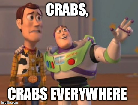 X, X Everywhere Meme | CRABS, CRABS EVERYWHERE | image tagged in memes,x x everywhere | made w/ Imgflip meme maker