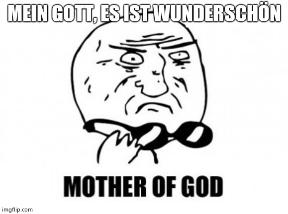 Mother Of God Meme | MEIN GOTT, ES IST WUNDERSCHÖN | image tagged in memes,mother of god | made w/ Imgflip meme maker