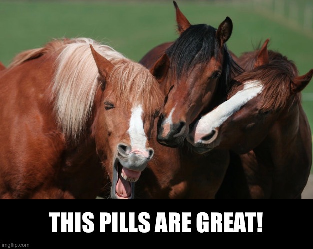 Horse Pills | THIS PILLS ARE GREAT! | image tagged in funny memes,horses | made w/ Imgflip meme maker