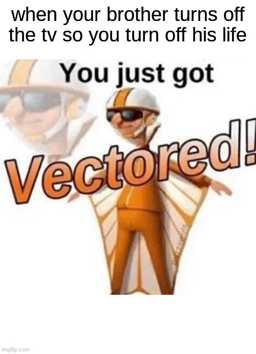 You just got vectored | when your brother turns off the tv so you turn off his life | image tagged in you just got vectored | made w/ Imgflip meme maker