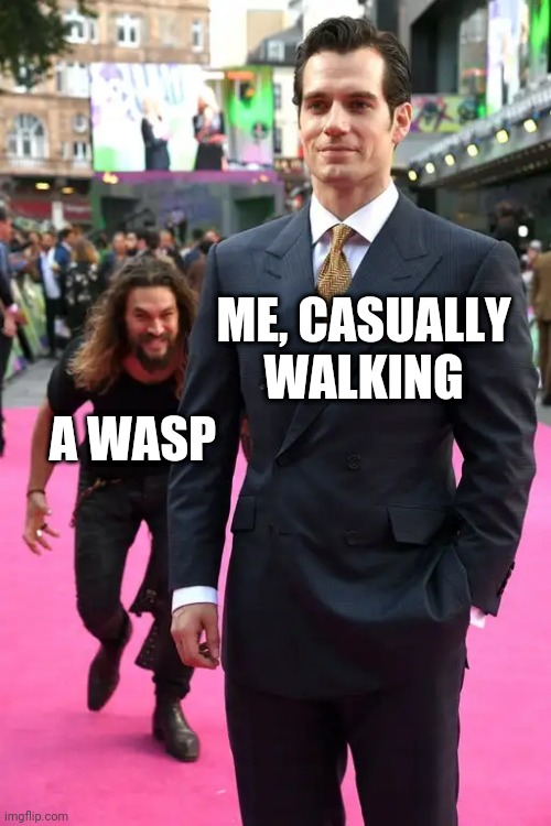 Jason Momoa Henry Cavill Meme | A WASP; ME, CASUALLY WALKING | image tagged in jason momoa henry cavill meme,wasp,memes,walking | made w/ Imgflip meme maker