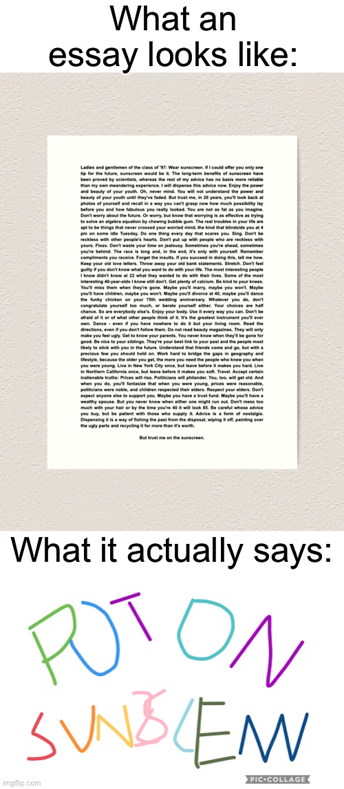 An upvote to whoever can tell what the last image is | What an essay looks like:; What it actually says: | image tagged in blank white template,memes,essay,unfunny | made w/ Imgflip meme maker