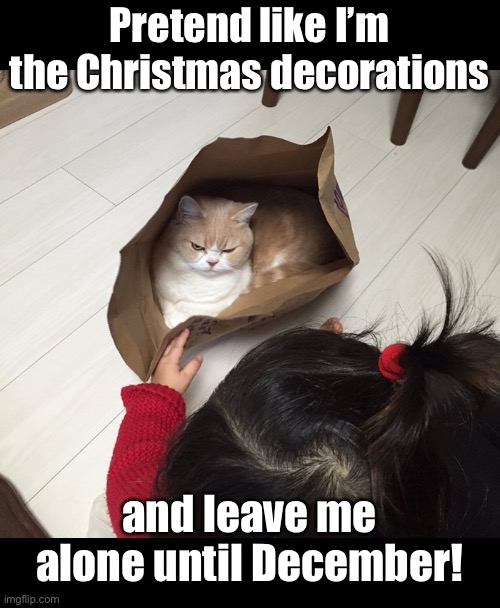 Pretend like I’m the Christmas decorations; and leave me alone until December! | image tagged in funny memes,funny cat memes,cats,funny cats | made w/ Imgflip meme maker