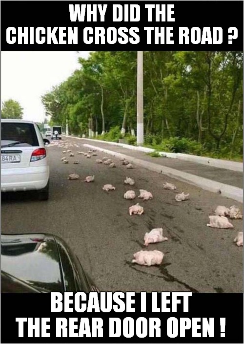 Chickens On The Loose | WHY DID THE CHICKEN CROSS THE ROAD ? BECAUSE I LEFT THE REAR DOOR OPEN ! | image tagged in fun,why did the chicken cross the road,laziness | made w/ Imgflip meme maker
