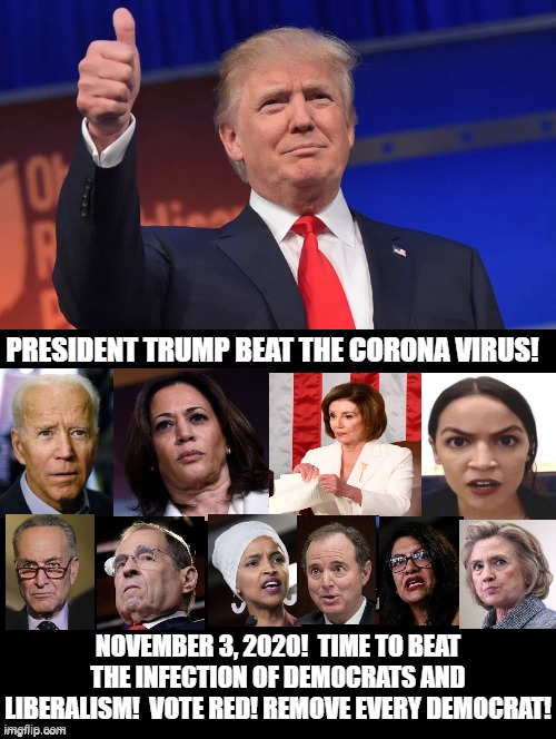 President Trump Beat The Corona Virus! Time To Beat The Infection of Democrats! | PRESIDENT TRUMP BEAT THE CORONA VIRUS! NOVEMBER 3, 2020!  TIME TO BEAT THE INFECTION OF DEMOCRATS AND LIBERALISM!  VOTE RED! REMOVE EVERY DEMOCRAT! | image tagged in stupid liberals,donald trump,kamala harris,biden,democrats | made w/ Imgflip meme maker