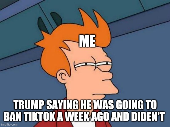 yass | ME; TRUMP SAYING HE WAS GOING TO BAN TIKTOK A WEEK AGO AND DIDEN'T | image tagged in memes,futurama fry | made w/ Imgflip meme maker