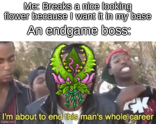 plantera be like that sometimes | Me: Breaks a nice looking flower because I want it in my base; An endgame boss: | image tagged in i m about to end this man s whole career | made w/ Imgflip meme maker