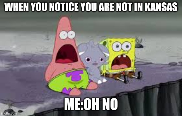 patrick and spongebob  ahhh |  WHEN YOU NOTICE YOU ARE NOT IN KANSAS; ME:OH NO | image tagged in nothing burger | made w/ Imgflip meme maker