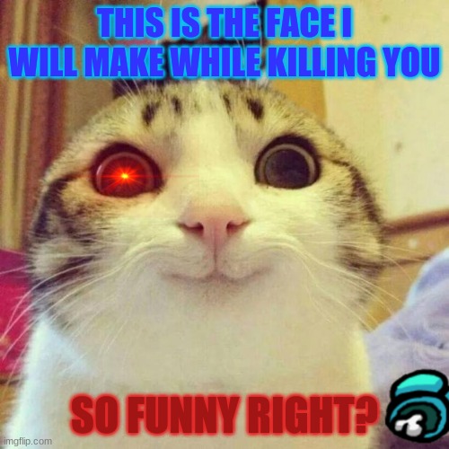 Smiling Cat | THIS IS THE FACE I WILL MAKE WHILE KILLING YOU; SO FUNNY RIGHT? | image tagged in memes,smiling cat | made w/ Imgflip meme maker