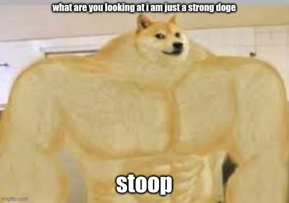 doge musle | what are you looking at i am just a strong doge; stoop | image tagged in not funny | made w/ Imgflip meme maker