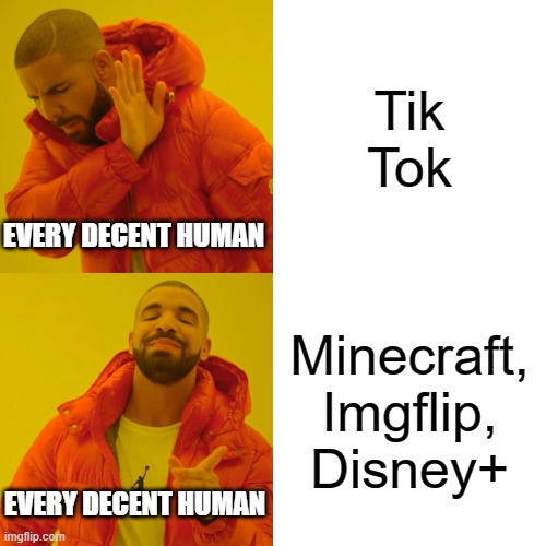 It's true. | Tik Tok; EVERY DECENT HUMAN; Minecraft, Imgflip, Disney+; EVERY DECENT HUMAN | image tagged in memes,drake hotline bling,tik tok | made w/ Imgflip meme maker