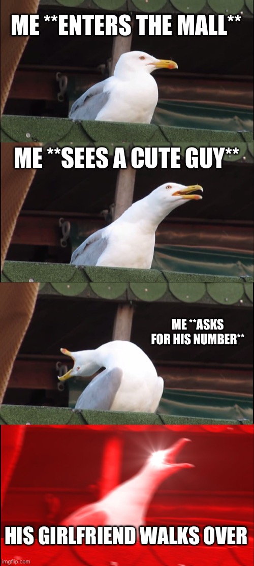 Inhaling Seagull | ME **ENTERS THE MALL**; ME **SEES A CUTE GUY**; ME **ASKS FOR HIS NUMBER**; HIS GIRLFRIEND WALKS OVER | image tagged in memes,inhaling seagull | made w/ Imgflip meme maker