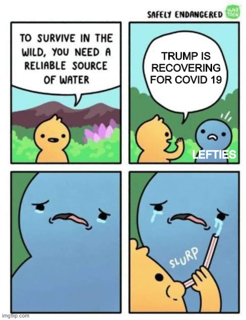 tears | TRUMP IS RECOVERING FOR COVID 19; LEFTIES | image tagged in tears,funny,politics | made w/ Imgflip meme maker