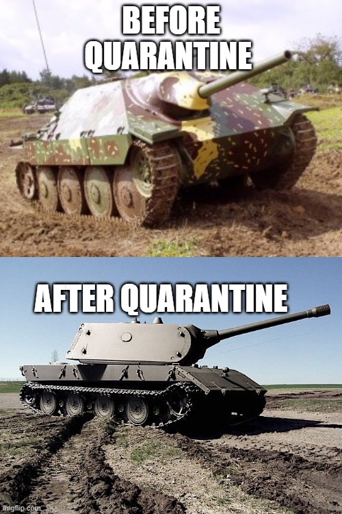 lol | BEFORE QUARANTINE; AFTER QUARANTINE | image tagged in historical meme | made w/ Imgflip meme maker