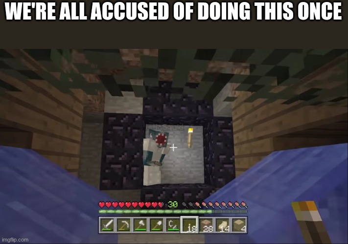 There's a hole in my hoola-hoop | WE'RE ALL ACCUSED OF DOING THIS ONCE | image tagged in stampy and squid,nether portal,funny | made w/ Imgflip meme maker