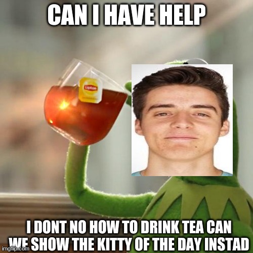 But That's None Of My Business Meme | CAN I HAVE HELP; I DONT NO HOW TO DRINK TEA CAN WE SHOW THE KITTY OF THE DAY INSTAD | image tagged in memes,but that's none of my business,kermit the frog | made w/ Imgflip meme maker