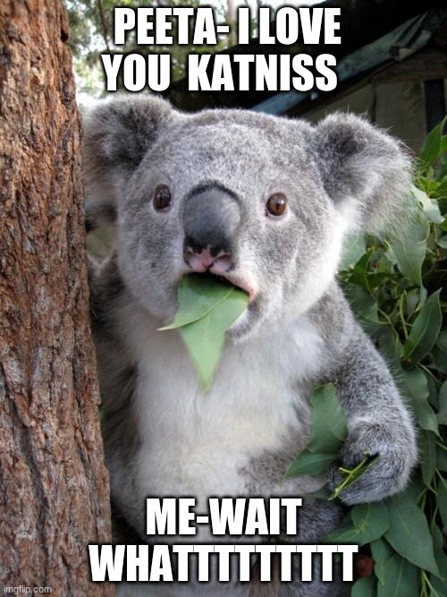 Surprised Koala | PEETA- I LOVE YOU  KATNISS; ME-WAIT WHATTTTTTTTT | image tagged in memes,surprised koala | made w/ Imgflip meme maker