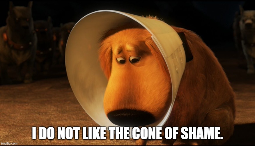 Doug from Up - Cone of Shame | I DO NOT LIKE THE CONE OF SHAME. | image tagged in doug from up - cone of shame | made w/ Imgflip meme maker