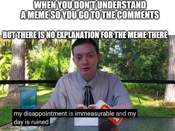 ow | WHEN YOU DON'T UNDERSTAND A MEME SO YOU GO TO THE COMMENTS; BUT THERE IS NO EXPLANATION FOR THE MEME THERE | image tagged in my day is ruined,my dissapointment is immeasurable and my day is ruined | made w/ Imgflip meme maker