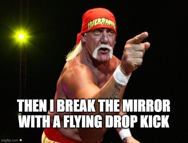 Hulk Hogan | THEN I BREAK THE MIRROR WITH A FLYING DROP KICK | image tagged in hulk hogan | made w/ Imgflip meme maker