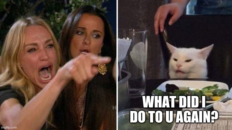 WHAT DID I DO TO U AGAIN? | image tagged in woman yelling at cat,cat | made w/ Imgflip meme maker