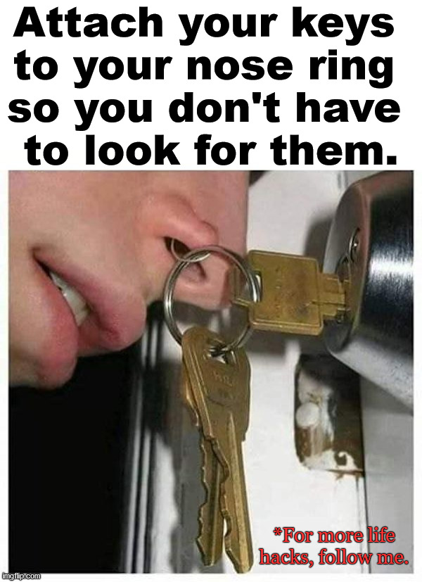 Tips and tricks to improve your life. |  Attach your keys 
to your nose ring 
so you don't have 
to look for them. *For more life hacks, follow me. | image tagged in life hack,tips,nose,ring | made w/ Imgflip meme maker