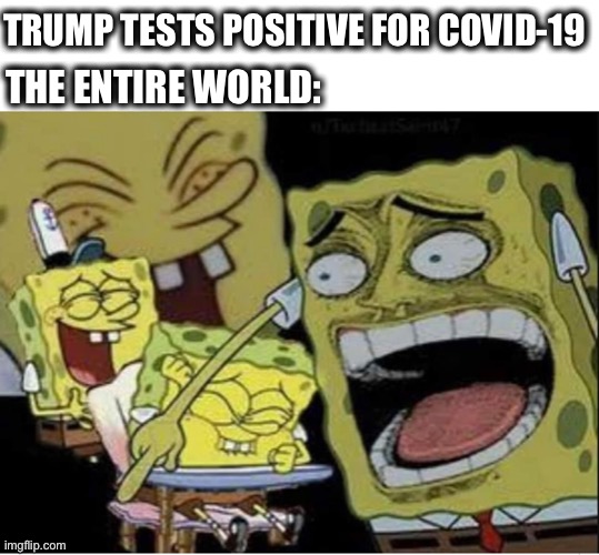What has the world come to? | TRUMP TESTS POSITIVE FOR COVID-19; THE ENTIRE WORLD: | image tagged in sponge bob laughing,donald trump,covid-19,not funny,best wishes,memes | made w/ Imgflip meme maker