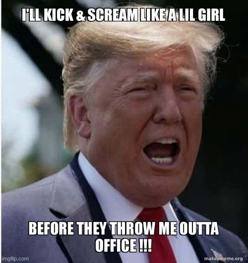 image tagged in trump,crybaby,funny,lol | made w/ Imgflip meme maker